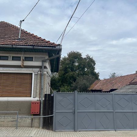 Apartmán Casa Lucian Cîrţişoara Exteriér fotografie