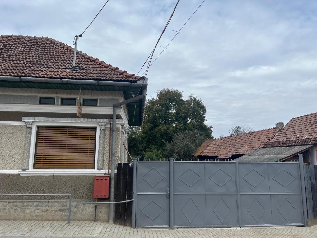 Apartmán Casa Lucian Cîrţişoara Exteriér fotografie